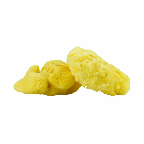 Органическая морская губка Sea sponge